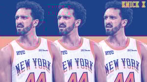 Landry Shamet, New York Knicks