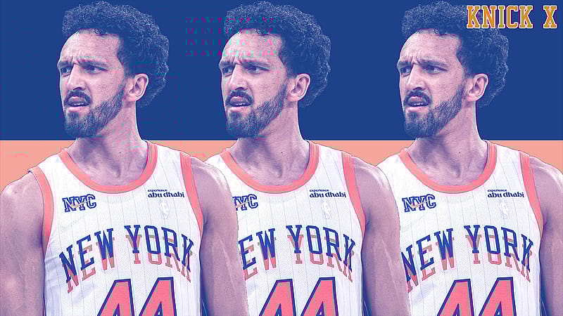 Landry Shamet, New York Knicks