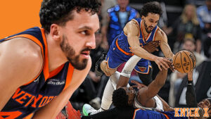 Landry Shamet, New York Knicks